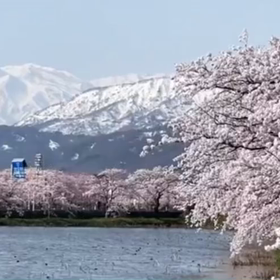 ブルーインパルスの画像