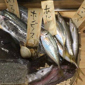 本日入荷 小田原魚❗️の画像
