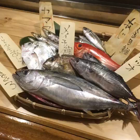 小田原の魚だって抜群です❗️の画像