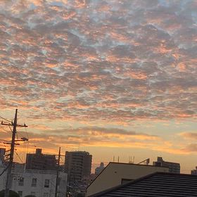 sの画像