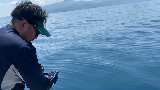 ブリジギング釣果速報の記事動画