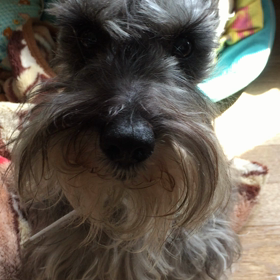 行方不明...あったよ‼︎の画像