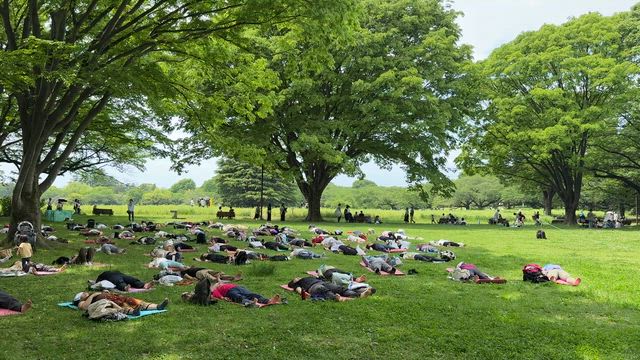 【好評受付開始】  昭和記念公園 パークヨガ 2026の記事動画