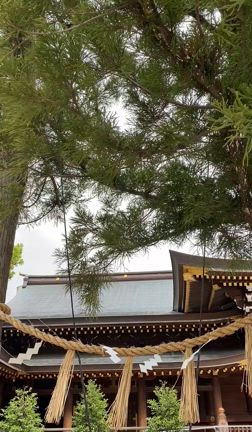 【神奈川】大人の遠足♪初めての寒川神社への記事動画