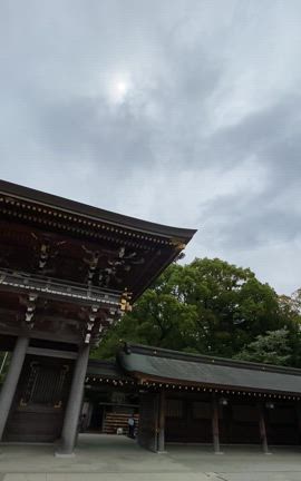 【神奈川】大人の遠足♪初めての寒川神社への記事動画
