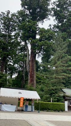 夏越の大祓に香取神宮！と、好転反応？！の記事動画