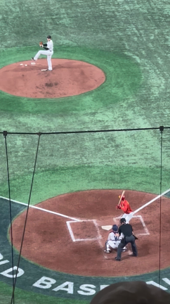 生大谷に興奮の記事動画