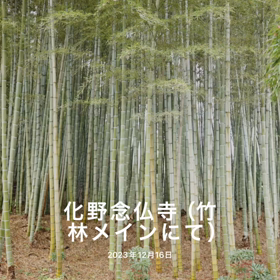 雨上がりの土曜日（その１）の画像
