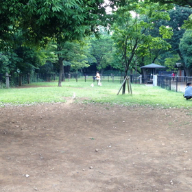 昭和記念公園ドッグランでらんらんラン。。動画編の画像