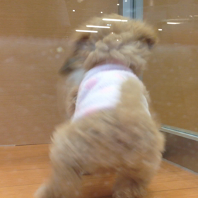 しぇる との出逢い。。の画像