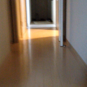 しぇる生後4ヶ月…動画の画像