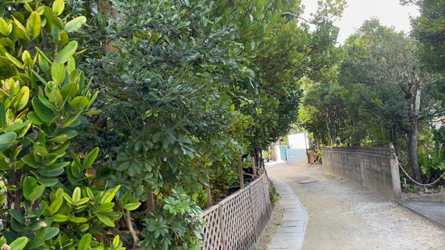 おきなわの記事動画
