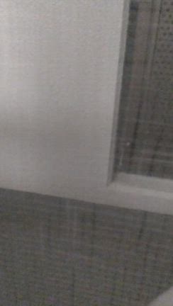 もうセミの季節？(≧▽≦)の記事動画