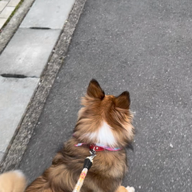 さらに、さらにその後…の画像