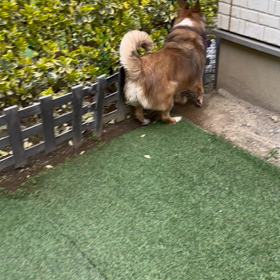 さらにその後…の画像