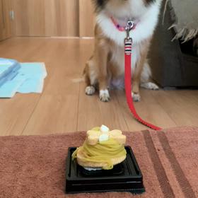 ケーキ食べるよPart2の画像