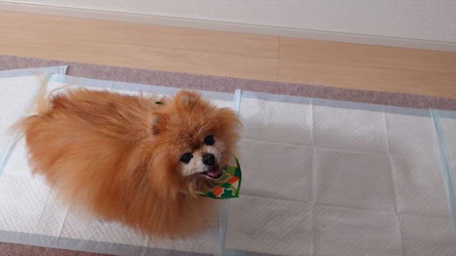 22日〜27日までの稼働報告♪の記事動画