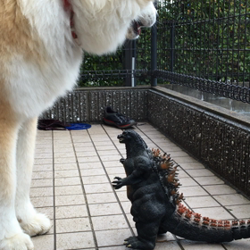 こてつvsゴジラの画像