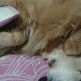 長生きしてねの画像