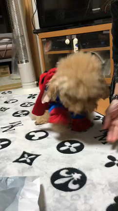 スーパーマン プエオの記事動画