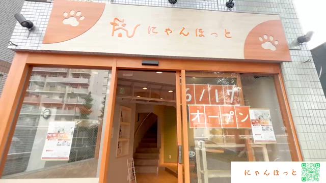 6/17「にゃんほっと」オープンです！の記事動画