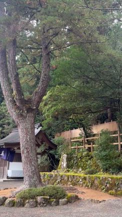 【天河大弁財天】奈良県 神社参りの旅の記事動画