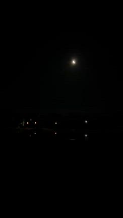 夜から朝へ　こんな時間もこゆきといるからだねの記事動画