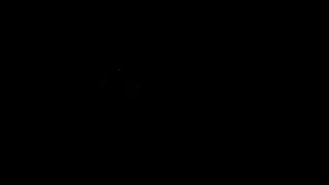 夕方散歩と初ホタルとカエルの我慢大会の記事動画