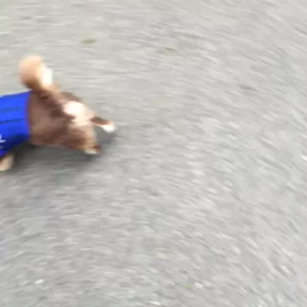 日々生かされての画像