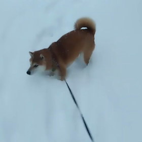 2023/12/22の画像