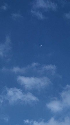 の中してたら✈️擬態UFO様が、どっかいくんかね？とかわいい声です。の記事動画