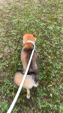 4連休の記事動画