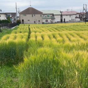 0428の画像
