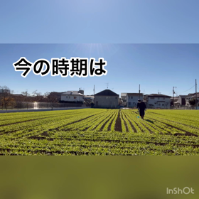 除草作業頑張ってます(動画あり)の画像