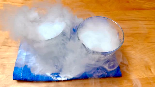 目にも耳にも涼を楽しむの記事動画
