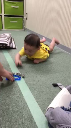 生後5ヶ月で自由にハイハイ！の記事動画