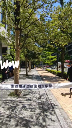 一人箱根駅伝制覇（笑）の記事動画