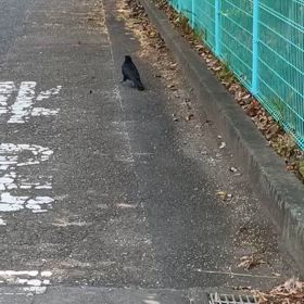 暑いですねぇ〜の画像