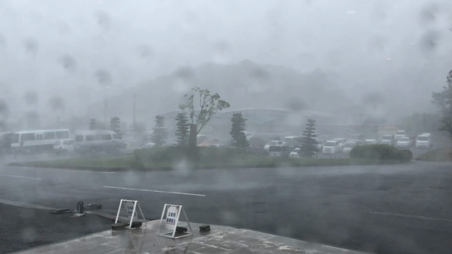 台風直撃！な研修の記事動画