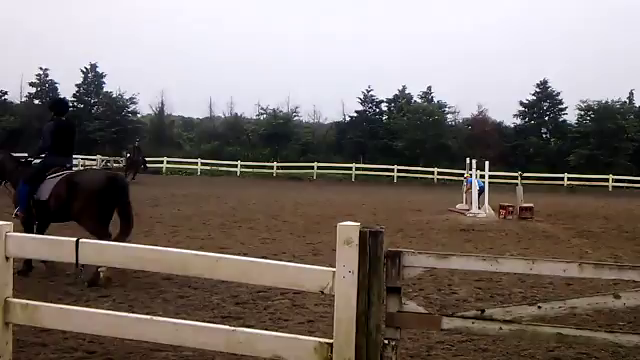 乗馬とエイジハラスメントの記事動画