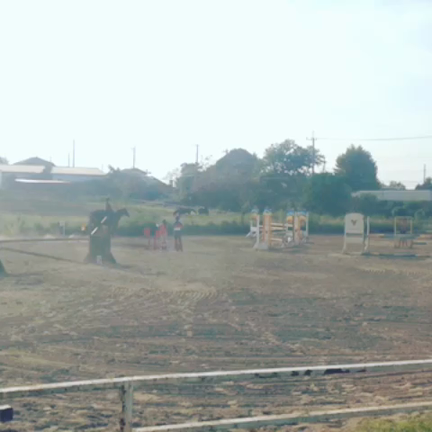乗馬の動画の記事動画