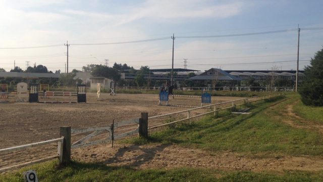 久々の乗馬の記事動画