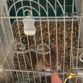 おはよう。の画像