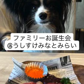2026/04/19の画像