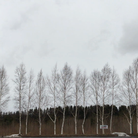 お客様との話の中での画像