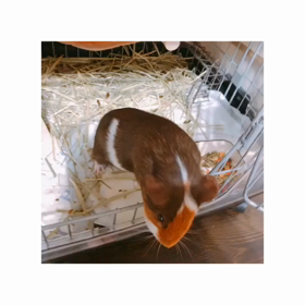久々のblog！！！の画像