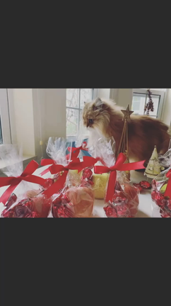 教室からのクリスマスプレゼントは…の記事動画