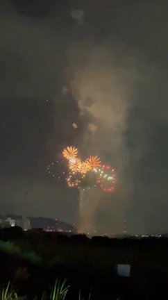 高槻夢花火2021の記事動画