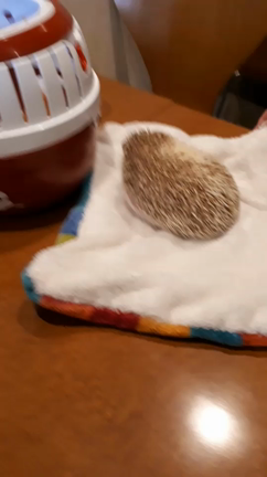 スモアニ神戸と　ビストロカフェ712 行ってきました。の記事動画