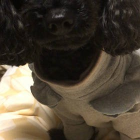準備万端の  画像